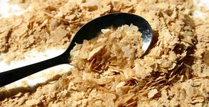 Contraindicaciones de tomar levadura de cerveza