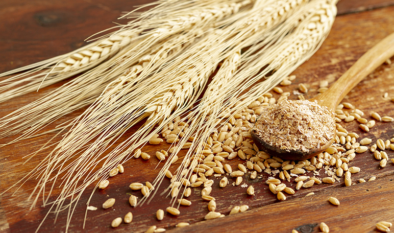 Contraindicaciones del germen de trigo - Apréndete