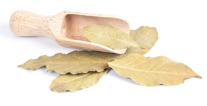 5 trucos caseros para eliminar cucarachas - Apréndete