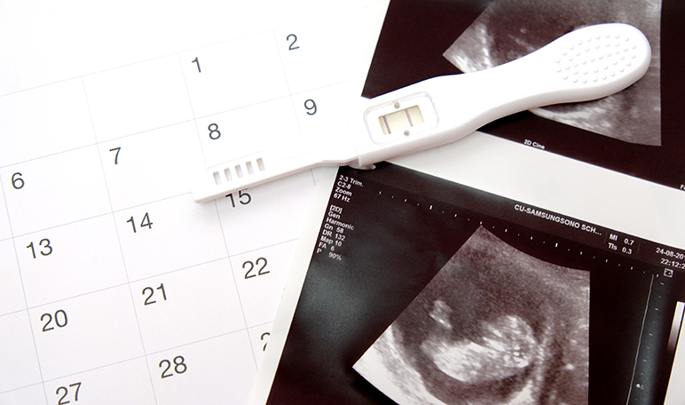 Cómo llevar un calendario de fertilidad - Apréndete