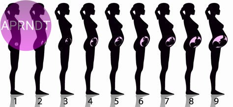 Te contamos el progreso del embarazo mes a mes