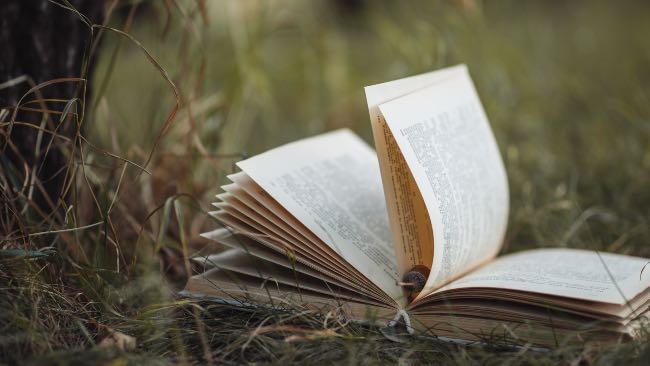 4 bestsellers de Julio Verne - Apréndete