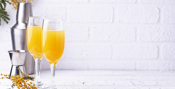 Cómo preparar mimosas para el verano - Apréndete