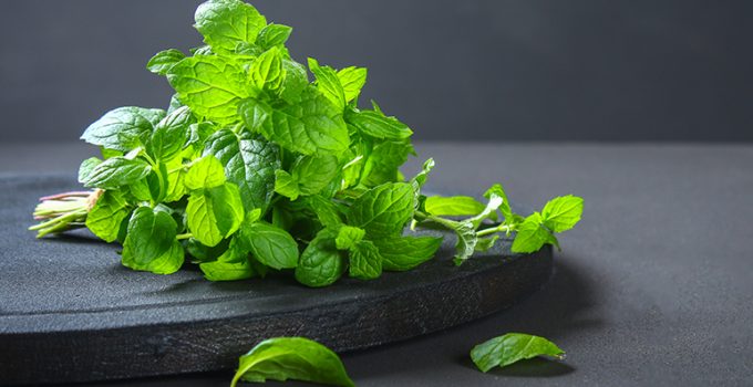 ¿Para qué sirve la hierbabuena? - Apréndete