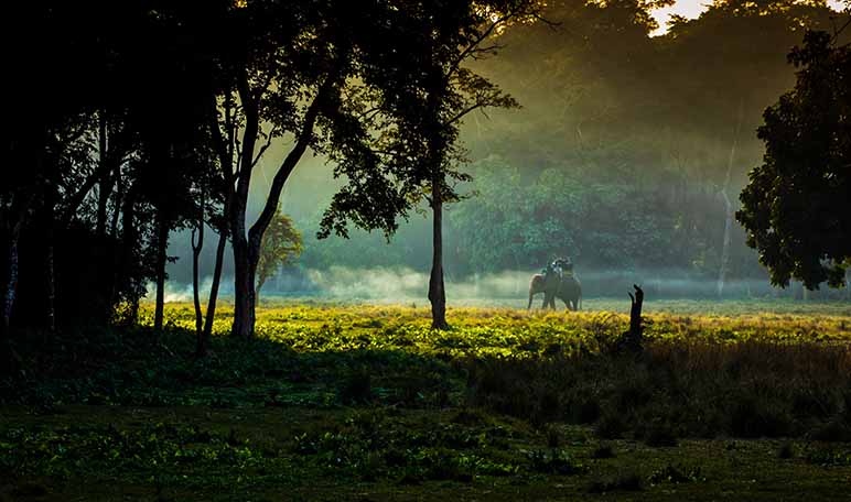 Parque Nacional de Chitwan