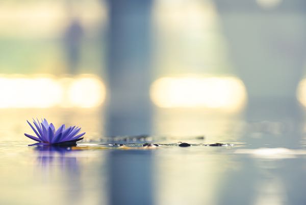 ¿Qué es la meditación trascendental y cuáles son sus beneficios? - Apréndete