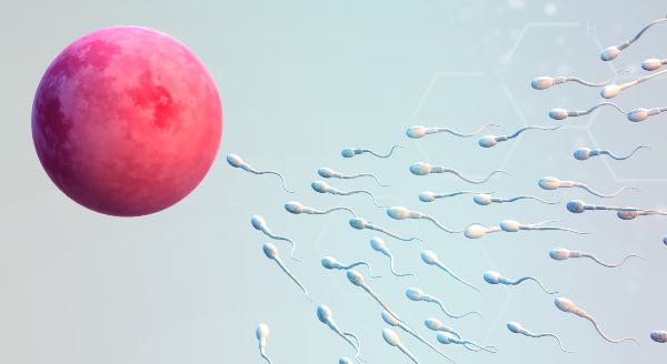 Pruebas médicas para diagnosticar la infertilidad - Apréndete